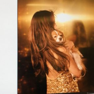 17 January @freshlikefreddy on Instagram: Doin a model blowin out ma floof