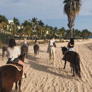 11 February @ashley_cook on Instagram: dream weekend celebrating the one and only cjb