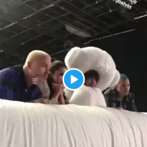 20 February Selena on Instagram Stories