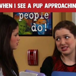 8 May @disneyinthd on Instagram: awwwbabyboocutiepiesweetie 😍😍