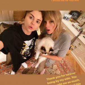 28 October Selena on Instagram Story