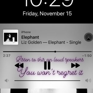 15 November Selena on Instagram Story