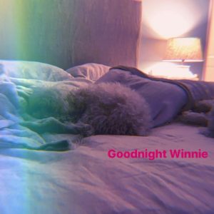 4 November Selena on Instagram Stories