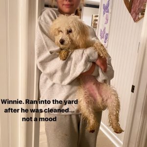 6 November Selena on Instagram Stories