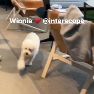 2 November Selena on Instagram Stories: Winnie