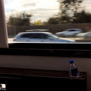 11 January Selena on her way to the “Dolittle” premiere