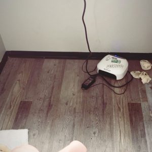 22 January Selena on Instagram Story