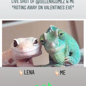 13 February @lizgolden on Instagram