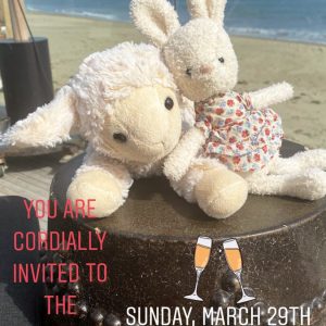 28 March @chrissyteigen on Twitter