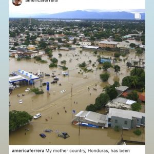 10 November Selena on Instagram Story