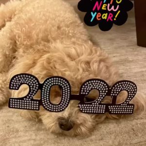 1 January: Selena wishing a Happy New Year by sharing cute pic of Daisy!