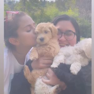 26 February: Selena playing with puppies in the new IG story