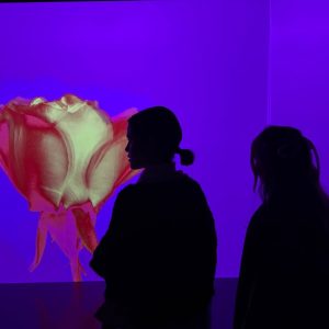 24 January: new pic of Selena from her Instagram story